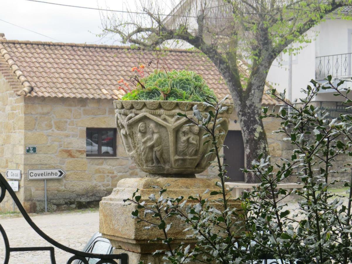 Sao Joao da Serra Casa Sao Joaoヴィラ エクステリア 写真