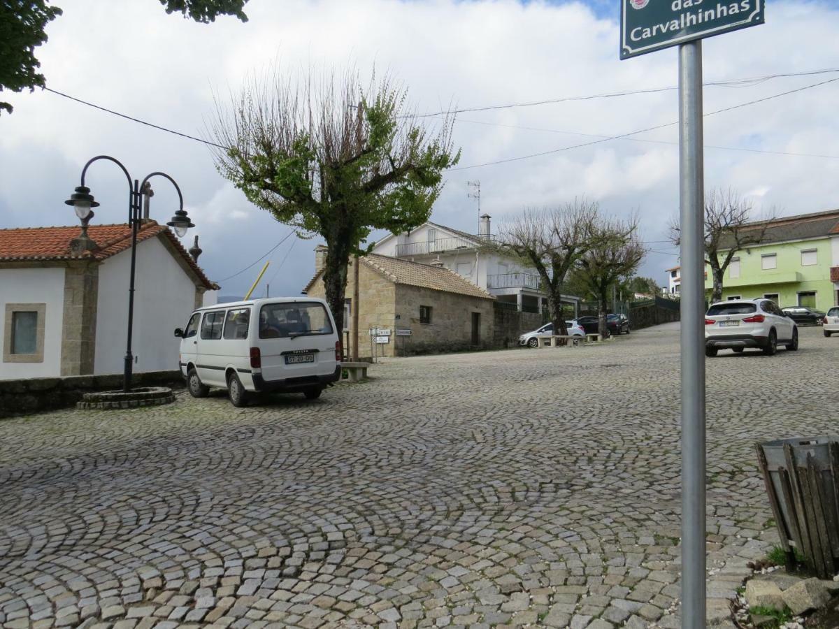 Sao Joao da Serra Casa Sao Joaoヴィラ エクステリア 写真